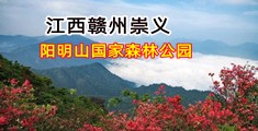 大黑鸡扒操俄罗斯性感美女